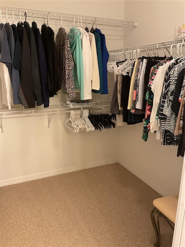 spacious closet featuring carpet