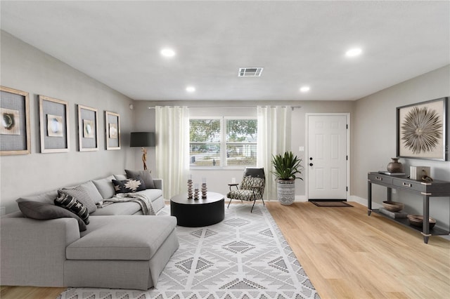 living room featuring wood-type flooring