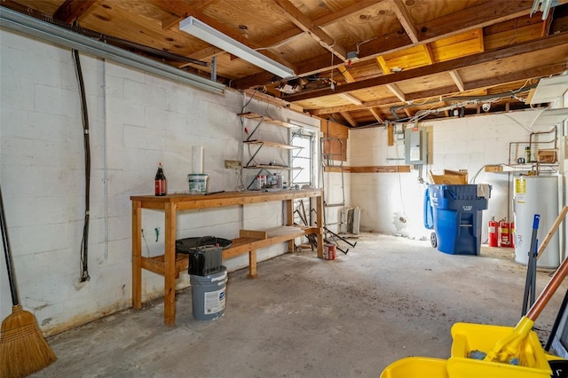 basement with electric panel and gas water heater