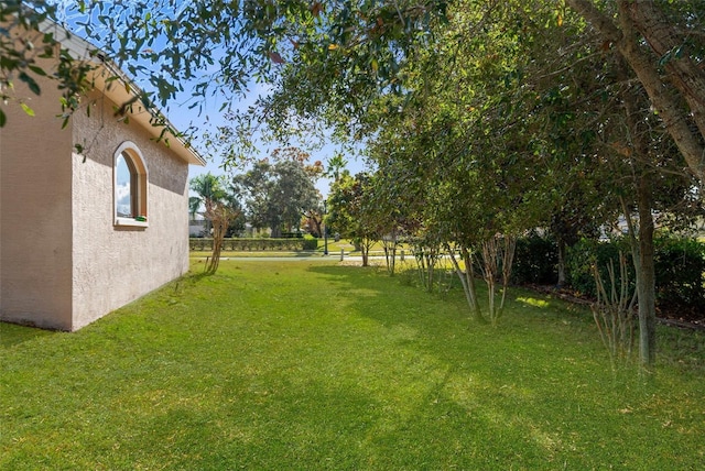 14101 Andrew Scott Rd, Spring Hill, FL 34609 - view of grassy yard