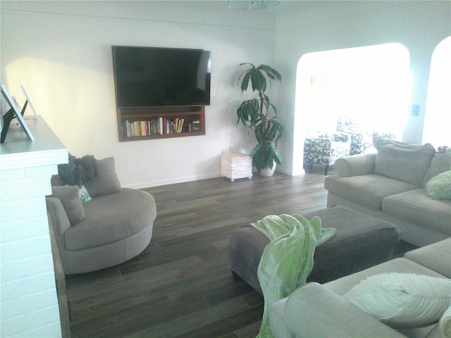 living area featuring wood finished floors