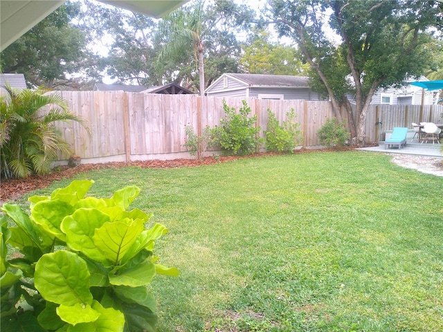 view of yard with a patio area and a fenced backyard