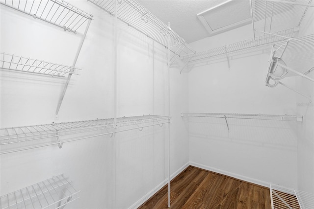 walk in closet featuring dark hardwood / wood-style floors