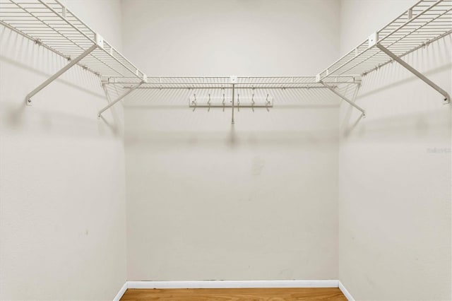 walk in closet featuring wood-type flooring