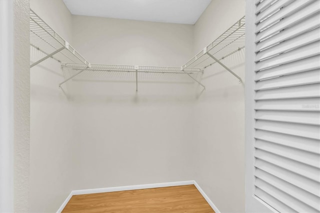 spacious closet featuring wood-type flooring