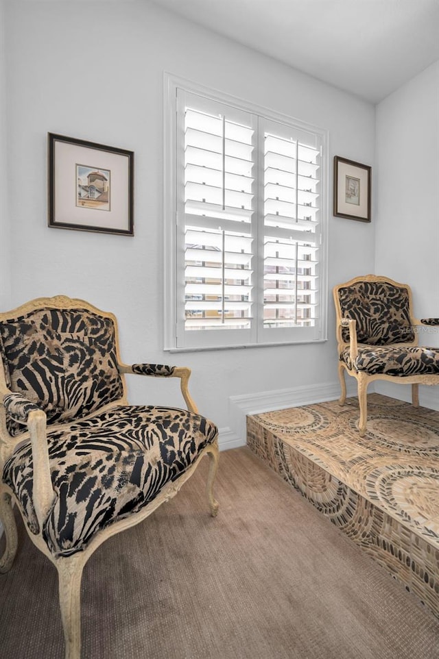 sitting room with carpet flooring