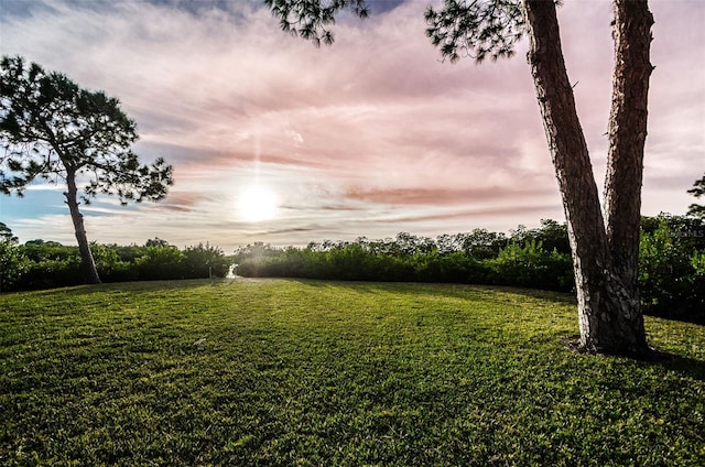 view of yard at dusk