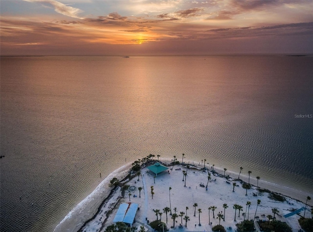 property view of water featuring a beach view