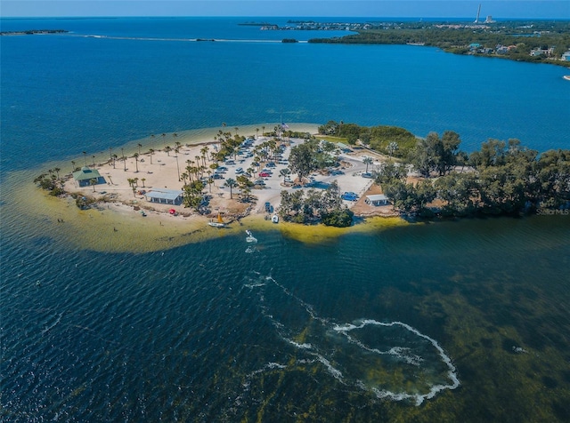 drone / aerial view with a water view and a view of the beach