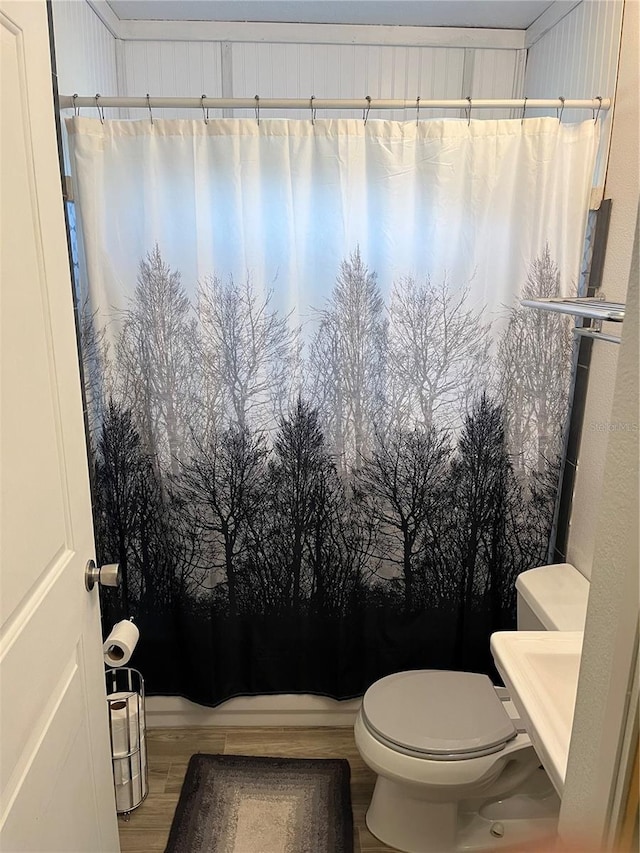 bathroom with wood-type flooring and toilet