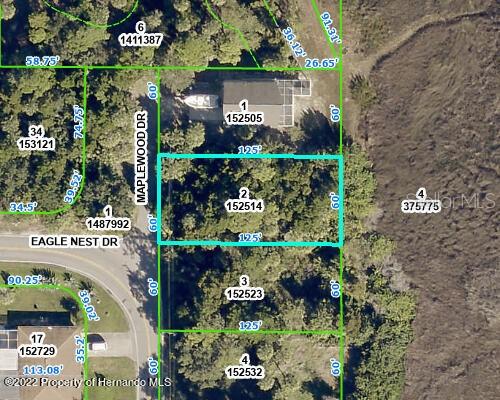 5082 Maplewood Dr, Hernando Beach FL, 34607 land for sale