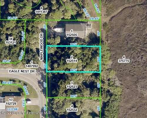5082 Maplewood Dr, Hernando Beach, FL 34607 - photo 1