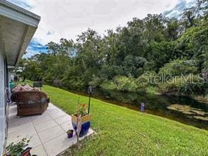 view of yard with a patio area