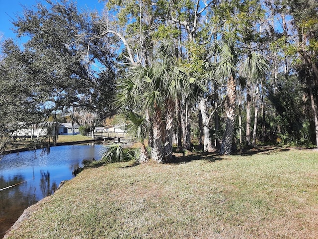 view of yard featuring a water view