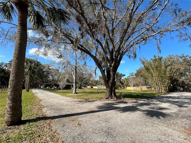 view of road