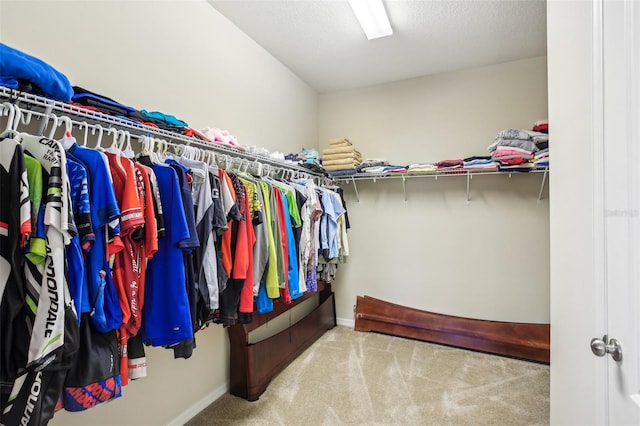 spacious closet with light carpet