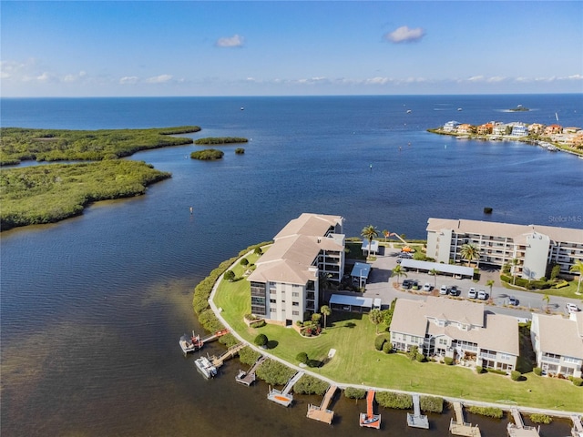 drone / aerial view with a water view