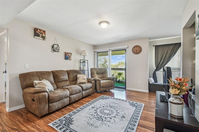 living room featuring wood-type flooring