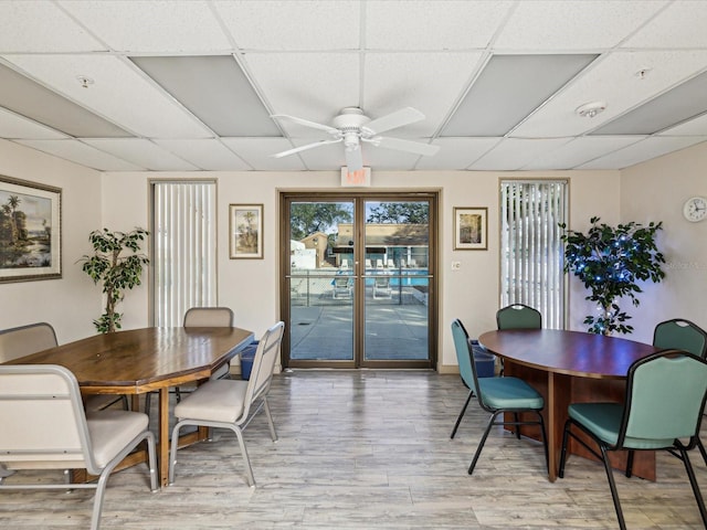 dining room featuring ceiling fan, a drop ceiling, and light hardwood / wood-style flooring