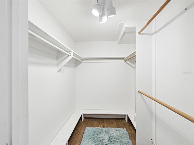 spacious closet with dark hardwood / wood-style flooring