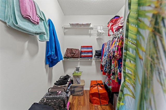 walk in closet with hardwood / wood-style flooring