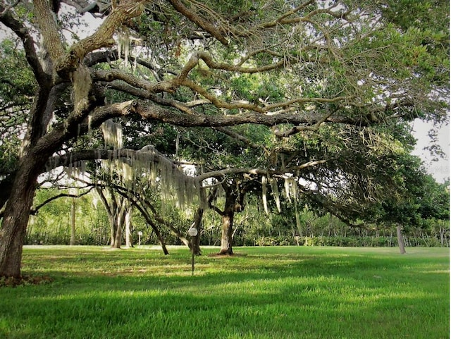 view of property's community featuring a yard