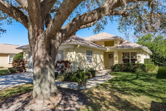 14120 Whitecap Ave, Hudson, FL 34667 - view of front of house featuring stucco siding and a front lawn