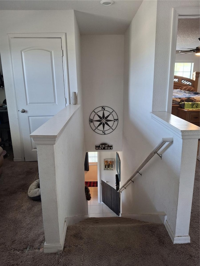 stairs featuring carpet flooring and ceiling fan