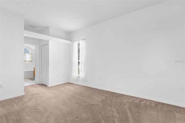 carpeted empty room featuring a textured ceiling and a healthy amount of sunlight