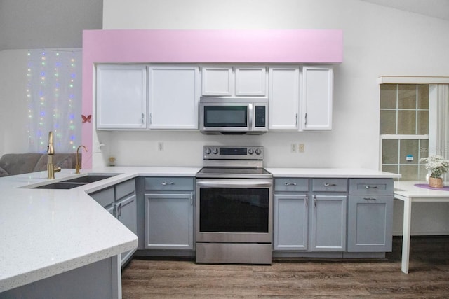 kitchen with gray cabinetry, sink, stainless steel appliances, and dark wood-type flooring