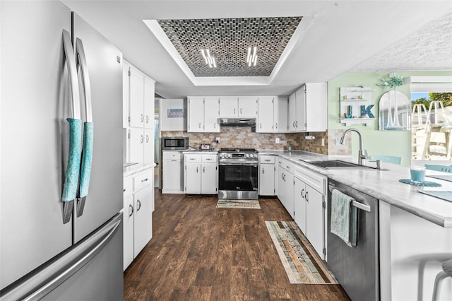 kitchen featuring backsplash, white cabinets, sink, appliances with stainless steel finishes, and a tray ceiling