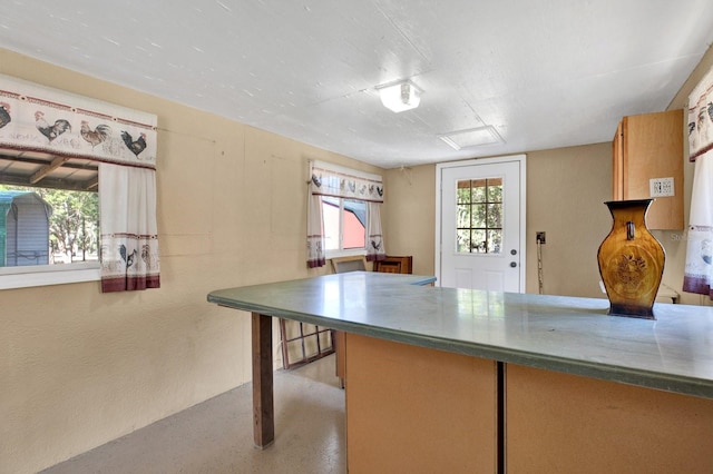 kitchen with a healthy amount of sunlight