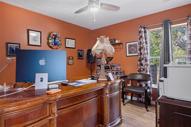 office space with ceiling fan and light hardwood / wood-style flooring