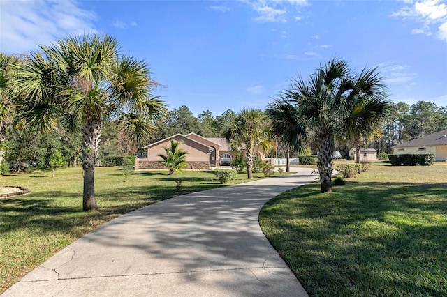 view of property's community with a yard