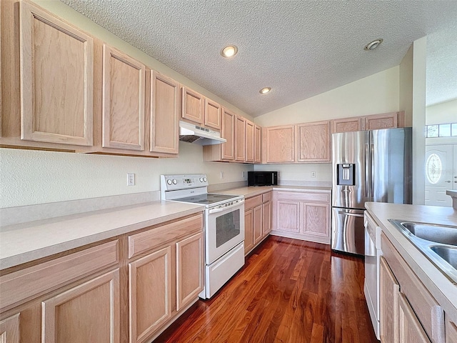 kitchen featuring dark hardwood / wood-style floors, light brown cabinets, stainless steel appliances, and vaulted ceiling