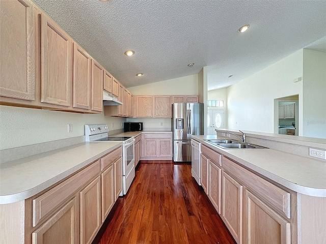 kitchen with light brown cabinets, dark wood-type flooring, sink, vaulted ceiling, and stainless steel appliances