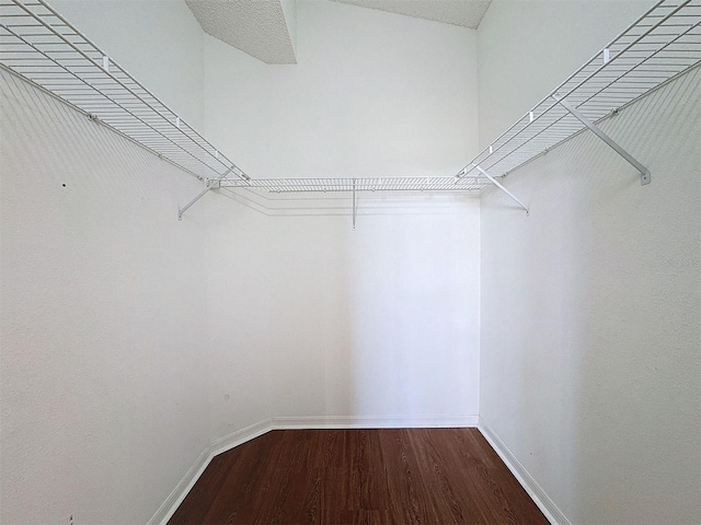 spacious closet featuring hardwood / wood-style flooring