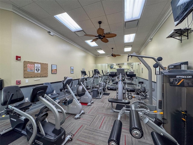 workout area featuring carpet flooring, a paneled ceiling, ceiling fan, and crown molding