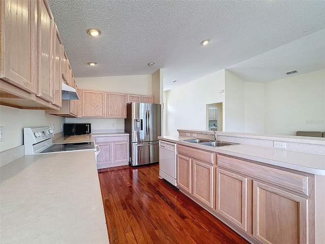 9519 Green Needle Dr, New Port Richey, FL 34655 - photo 17