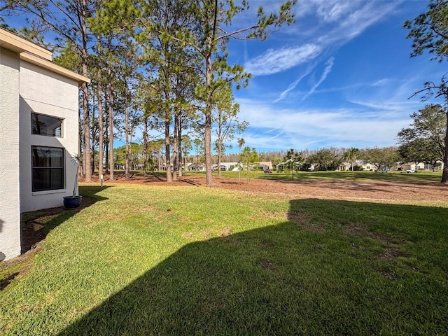 9519 Green Needle Dr, New Port Richey, FL 34655 - photo 42
