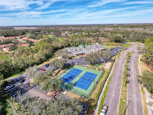 9519 Green Needle Dr, New Port Richey, FL 34655 - photo 50