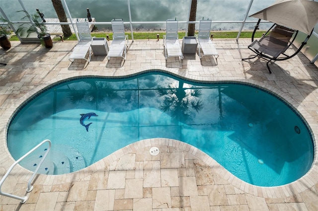 view of swimming pool with a lanai and a patio area