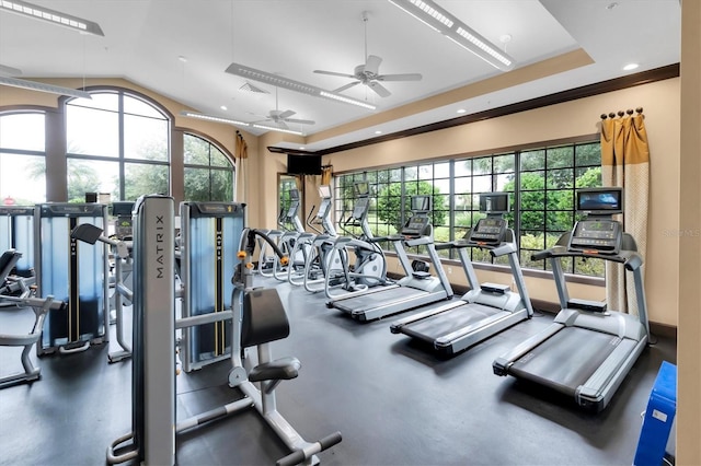 workout area featuring vaulted ceiling and a healthy amount of sunlight