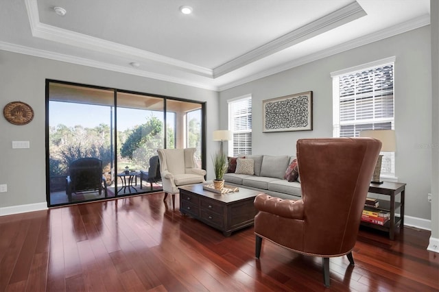 living room with crown molding, dark hardwood / wood-style floors, and a raised ceiling