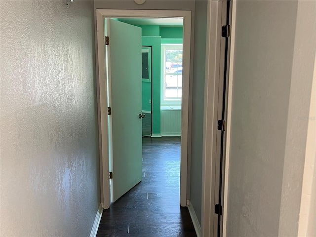 hallway featuring dark wood-type flooring