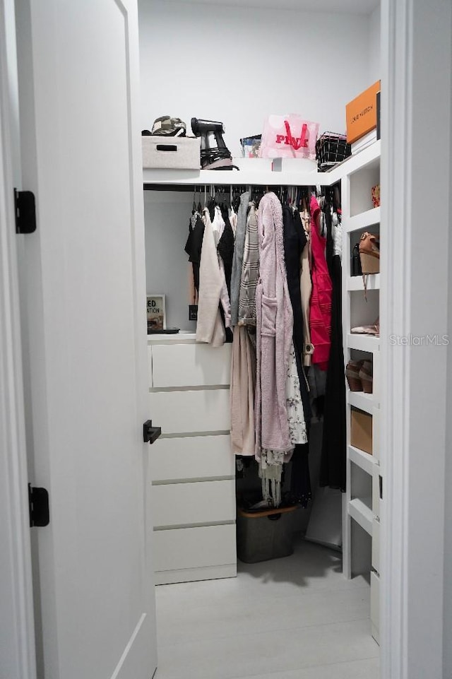 view of walk in closet