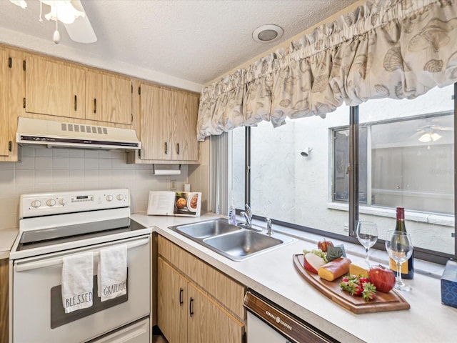 kitchen featuring electric range, sink, stainless steel dishwasher, a textured ceiling, and exhaust hood