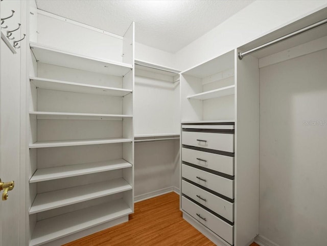 spacious closet featuring light hardwood / wood-style flooring