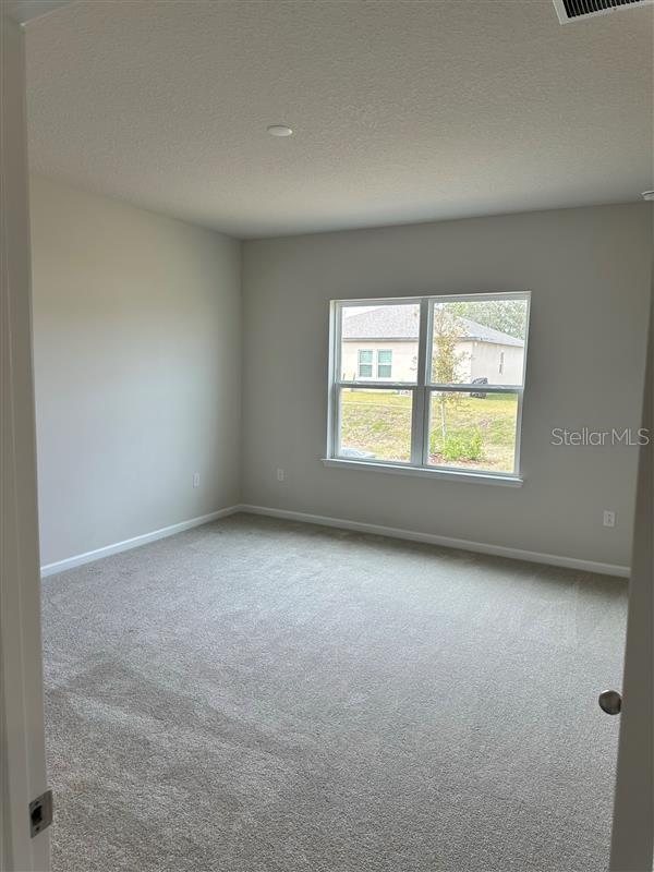 unfurnished room featuring carpet