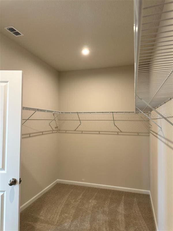 walk in closet with carpet floors